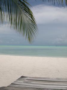 Caribbean beach sand
